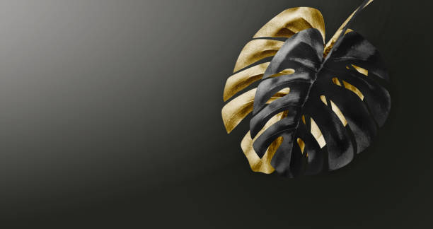 istock Black and gold tropical leaves arrangement at dark gradient background with copy space. 1358923484