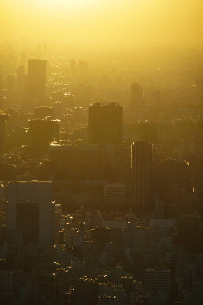 istock Tokyo cityscape (shooting from Tokyo Sky Tree) 1358930058