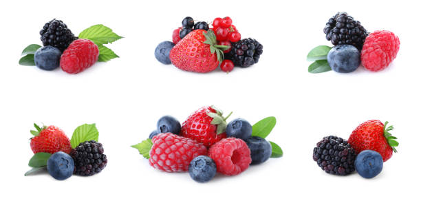 conjunto de diferentes bayas mixtas sobre fondo blanco, diseño de banner - berry fruit fotografías e imágenes de stock