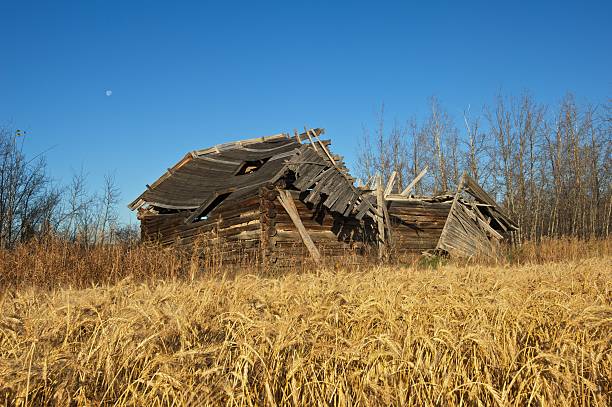 old abandonado edifício rural: colapso registo de celeiro e campo de trigo - barn farm moon old imagens e fotografias de stock
