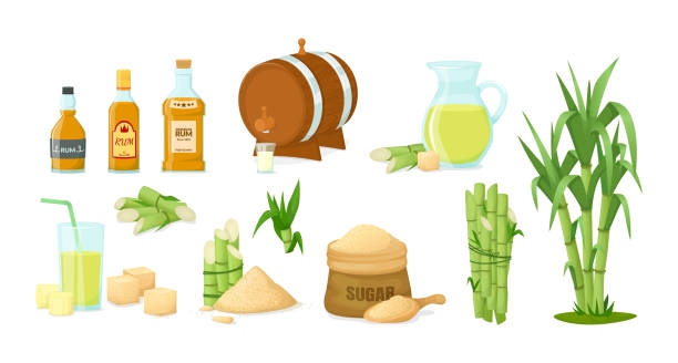Cane sugar with stem and leaf plants vector cartoon illustration vector art illustration