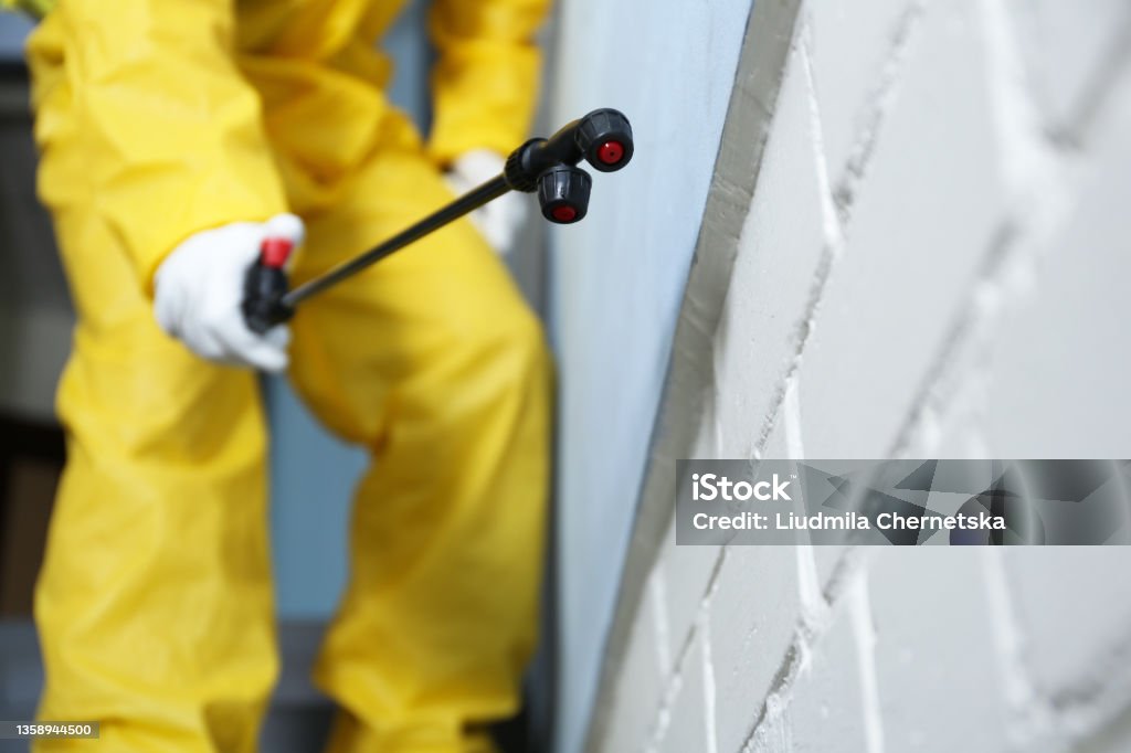 Pest control worker spraying pesticide indoors, closeup Crop Sprayer Stock Photo