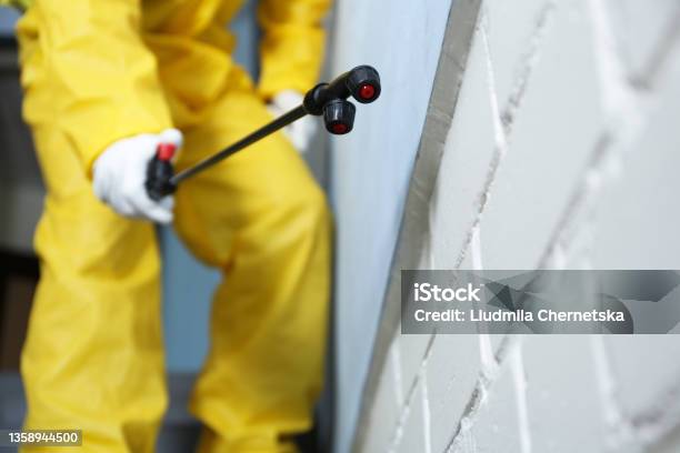 Pest Control Worker Spraying Pesticide Indoors Closeup Stock Photo - Download Image Now
