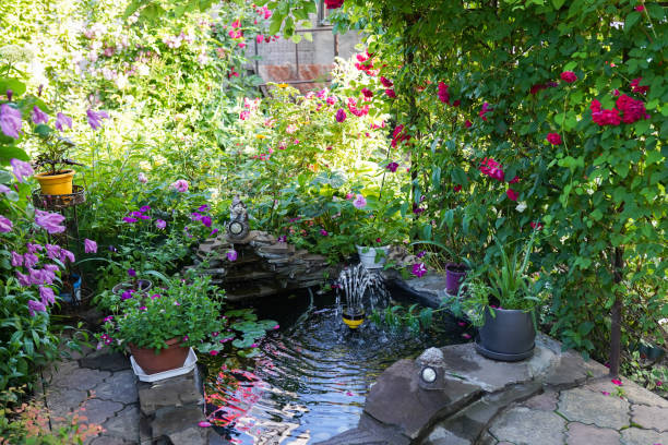 laghetto decorativo con fontana in giardino con rose rosse - fountain in garden foto e immagini stock