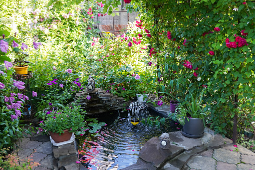 Decorative pond with fountain in garden with red roses