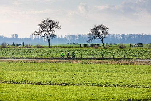 Zoetermeer, Netherlands - January 2, 2021: cyclists on a country road in the countryside in the Green Heart in the Dutch province of South Holland