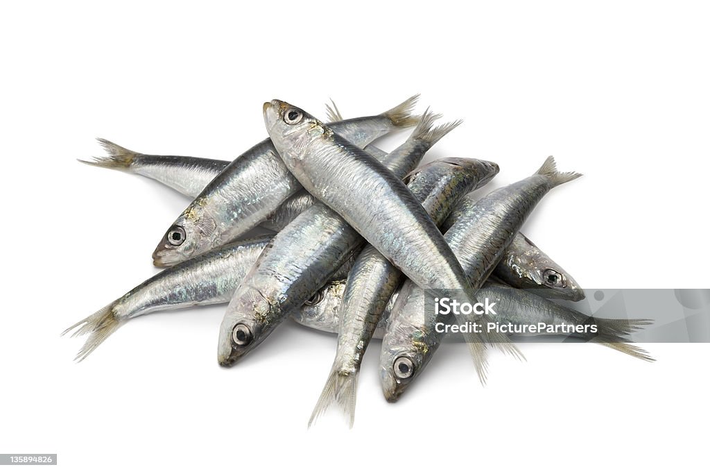 Heap of fresh raw sardines Heap of fresh raw sardines on white background Sardine Stock Photo