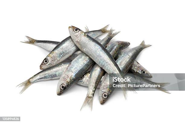 Heap Of Fresh Raw Sardines Stock Photo - Download Image Now - Sardine, White Background, Raw Food