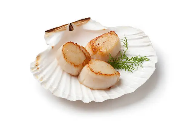 Photo of Seared scallops served in a shell with dill