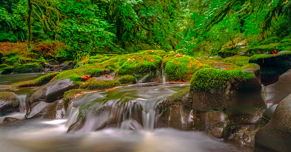 A river flows over a colorful leaf-covered landscape in Washington.