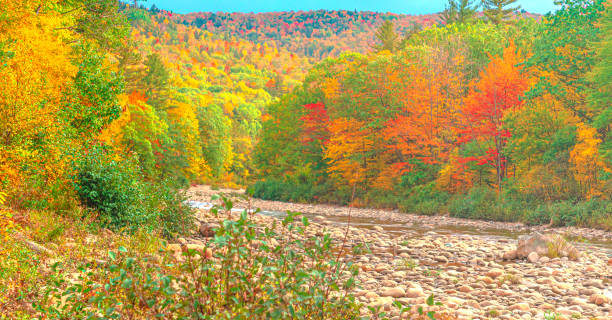 Vibrant foliage with colorful leaves line a winding river in Maine.