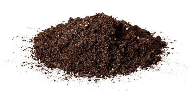 istock Heap of potting soil (dirt) isolated on white 1358950853