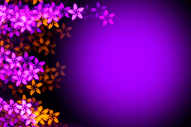 Defocused bokeh with flower shape. Space for copy. It's a REAL bokeh photo, not an illustration or computer filter.