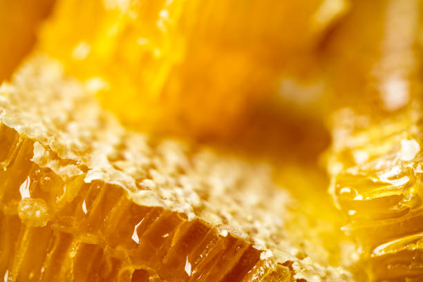 istock Honeycomb with honey close-up 1358951247