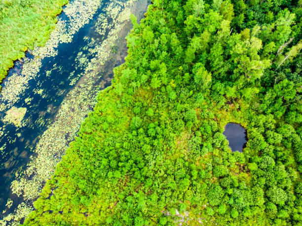 istock Krutynia river Masuria, Poland. Aerial view 1358952811