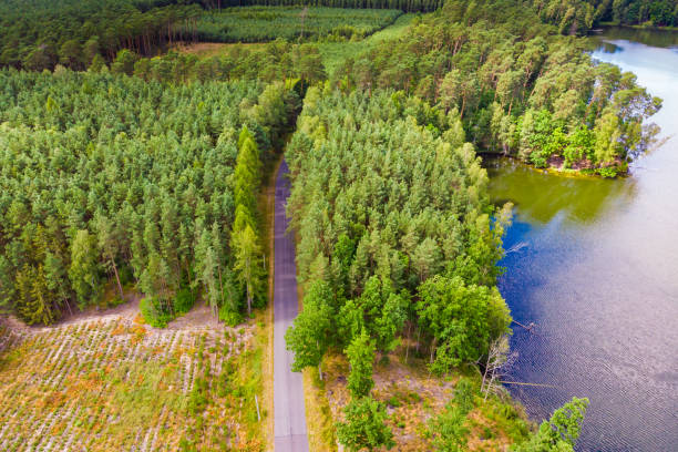 Lake in Tuchola Forests, Poland. Aerial view Aerial view. Lake and green forest in Tuchola national park, Poland. Summer landscape in Europe. bory tucholskie stock pictures, royalty-free photos & images