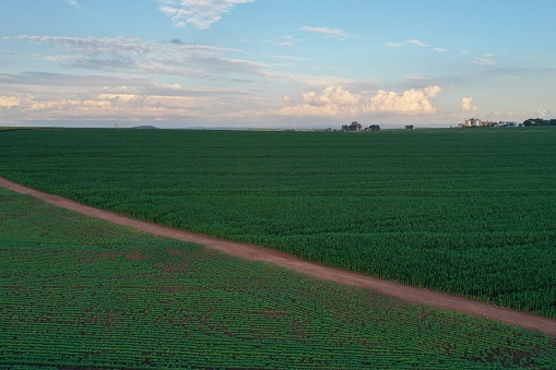 aerial image of agriculture in the state of São Paulo