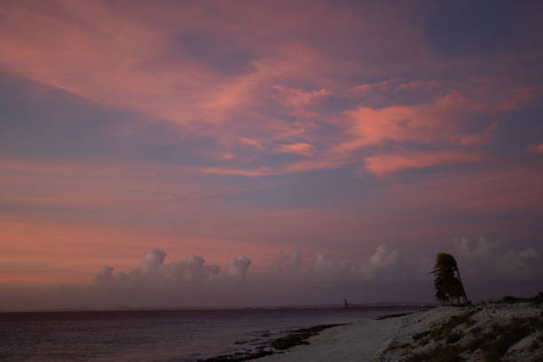 Tropical beach at sunset. Pink coloured sky Nature background