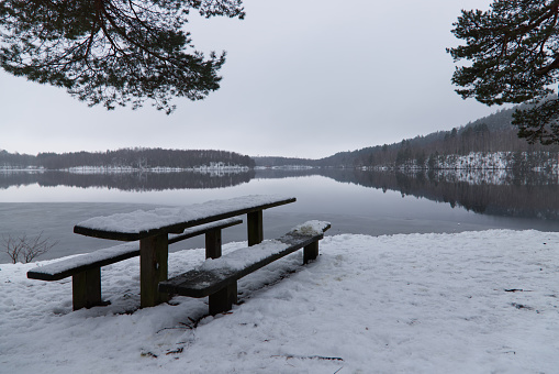 Winter image of a picknick board standing at the side of the lake. There is a pine tree at the side of the image. Winter time. Reflection on the water. Torvsjön, Halmstads kommun, Halland, Sweden.