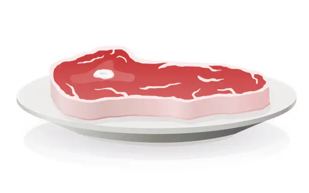 Vector illustration of Piece of meat on a plate (isolated)