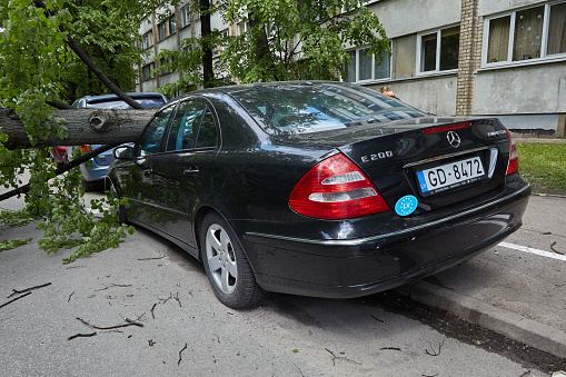 May 28, 2021, Riga Latvia: a strong wind broke a tree that fell on a car parked nearby, disaster background