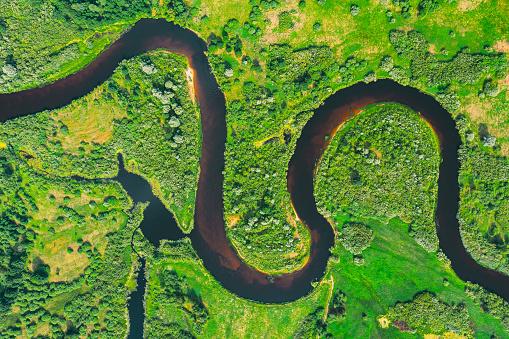 Aerial View Of Summer S Curved River Landscape In Sunny Summer Day. Top View Of Beautiful European Nature From High Attitude In Summer Season. Drone View. Bird's Eye View