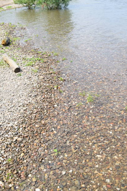 istock river beach with a little driftwood 1358957718