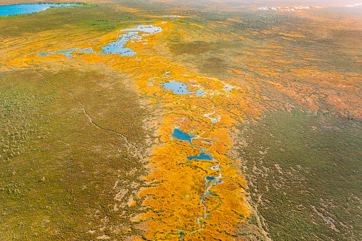 Miory District, Vitebsk Region, Belarus. The Yelnya Swamp. Upland And Transitional Bogs With Numerous Lakes. Elevated Aerial View Of Yelnya Nature Reserve Landscape. Famous Natural Landmark.