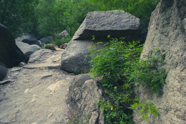 Beijing's virgin forests, natural scenery, valleys, jungles, rocks, streams, tree-lined paths