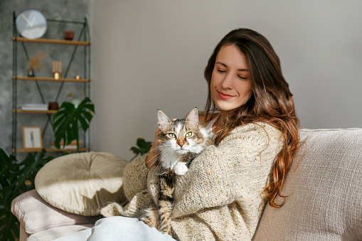 Portrait of young woman holding cute siberian cat with green eyes. Female hugging her cute long hair kitty. Background, copy space, close up. Adorable domestic pet concept.