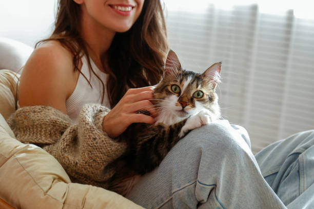 istock Young woman and her cat 1358961501