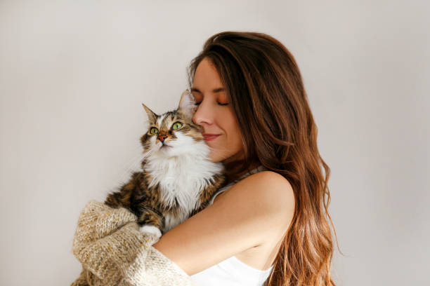 giovane donna e il suo gatto - kitten domestic cat isolated tabby foto e immagini stock