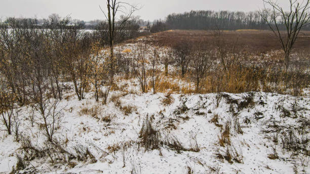 istock Fresh snow falls over Wisconsin meadows 1358962413