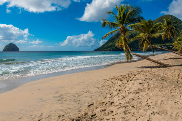 istock Nobody on the beach 1358964783