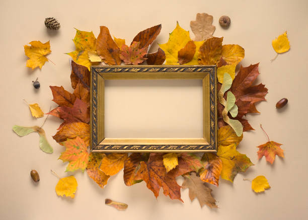 istock An old gold frame surrounded by autumn leaves on a beige (cream) background. Autumn composition, decoration. 1358965277