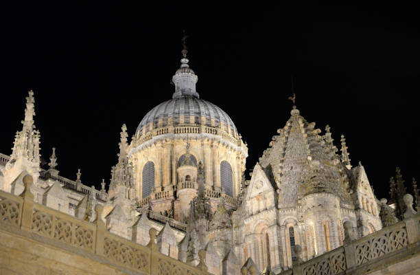 istock Salamanca Cathedral illuminated by floodlight 1358965460