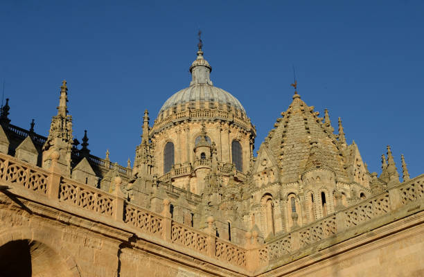 When we speak of the Cathedral of Salamanca in fact we are referring to two churches joined together. First, there is the old, Romanesque cathedral dating from the 12th-13th centuries; and then the new one, built in the Gothic style, from the 16th century.