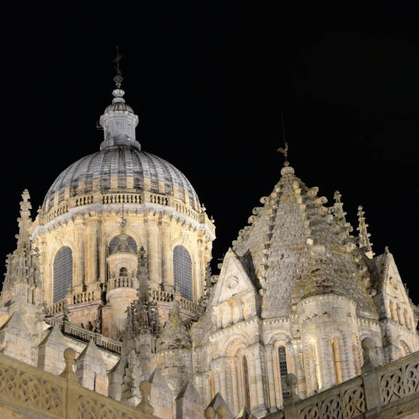 istock Salamanca Cathedral illuminated by floodlight 1358965466