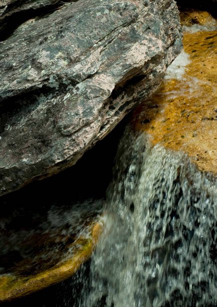istock River in Chapada Diamantina Park 1358969097
