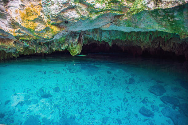 istock Cenotes waters in Tulum Mexico 1358970904