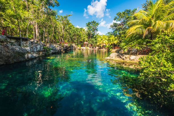 Cenotes waters in Tulum Mexico The cenotes are well or natural freshwater pond supplied by an underground river that is formed in many places in the Yucatan peninsula by soil erosion, and to which the Mayans gave a sacred use. cenote stock pictures, royalty-free photos & images