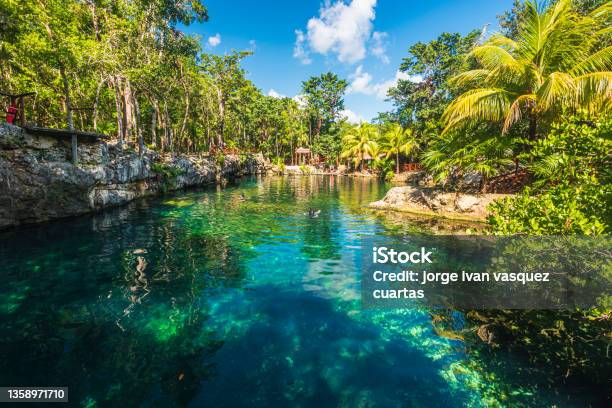 Cenotes Waters In Tulum Mexico Stock Photo - Download Image Now - Cenote, Tulum - Mexico, Mexico