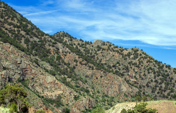 istock Hills and ridges on a Colorado mountain 1358972057
