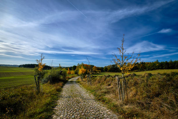 Paved path between the towns of "Altkuenkendorf" and "Grumsin" in the nature reserve "Grumsiner Forst", part of the UNESCO world heritage site stock photo