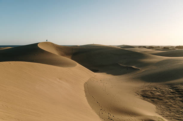 istock Maspalomas dunes in Gran Canaria, Spain 1358974755