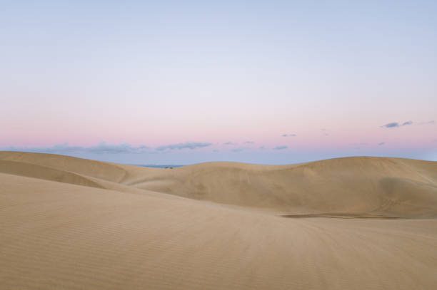 istock Maspalomas dunes in Gran Canaria, Spain 1358975046