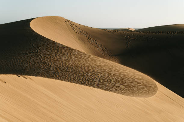 Maspalomas dunes in Gran Canaria, Spain