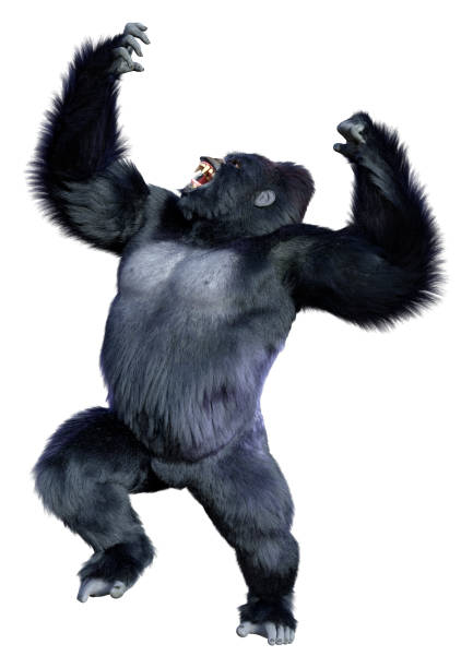 renderizado 3d black gorilla ape sobre blanco - gorila fotografías e imágenes de stock