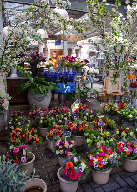 istock Amsterdam Flower Shop 1358977482