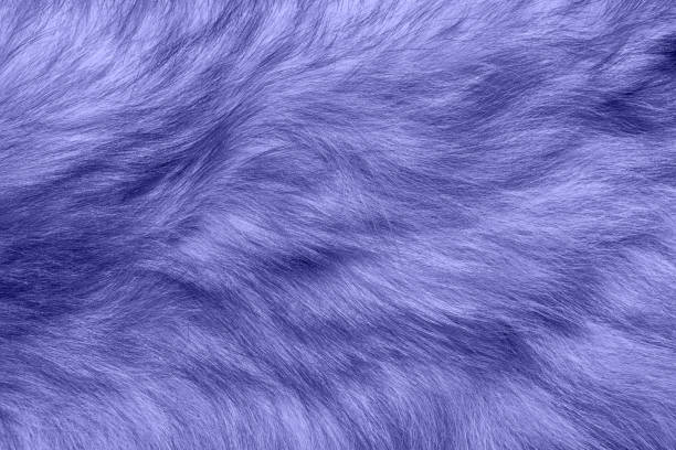 istock Pantone Color 2022 Very Peri Top View. Fluffy Wool Texture Sample 1358977616